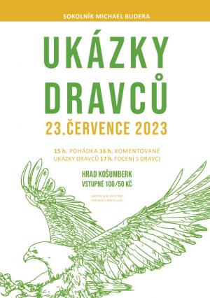Ukázky dravců - hrad Košumberk